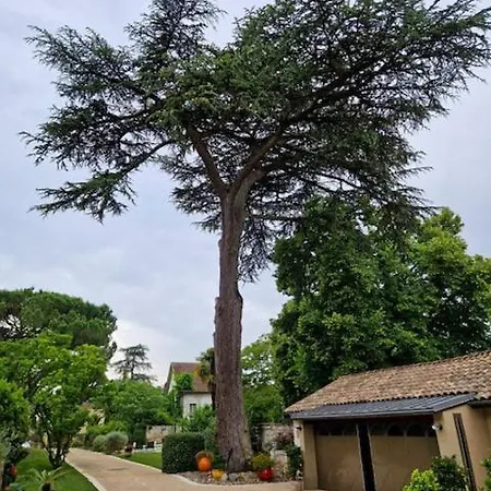 Domaine Au Coeur Du Lot Avec Rooftop Et Jacuzzi Villa Villeneuve-sur-Lot